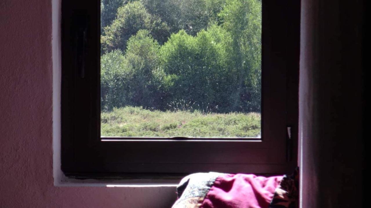 4-Bed Mixed Dormitory Room,1526722843:JPEG