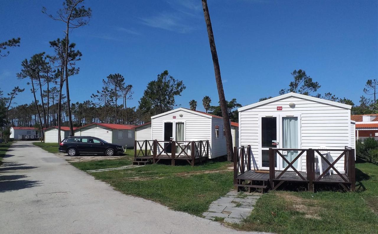 Mobile Home,448488708:JPEG
