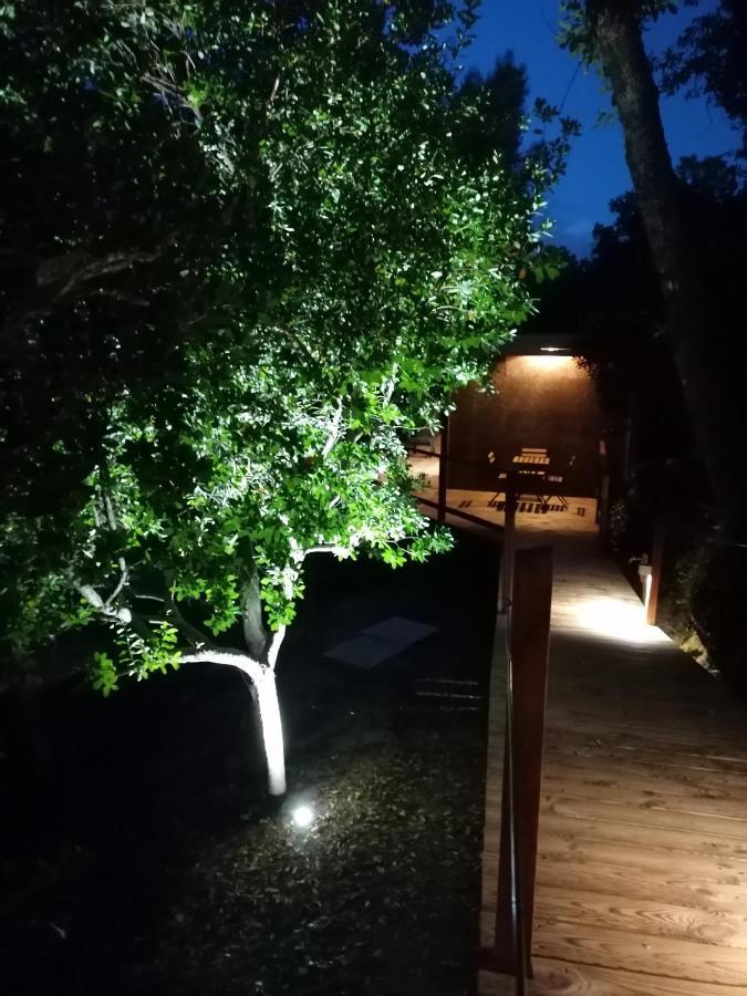 Suite Mountain View,1133450703:JPEG