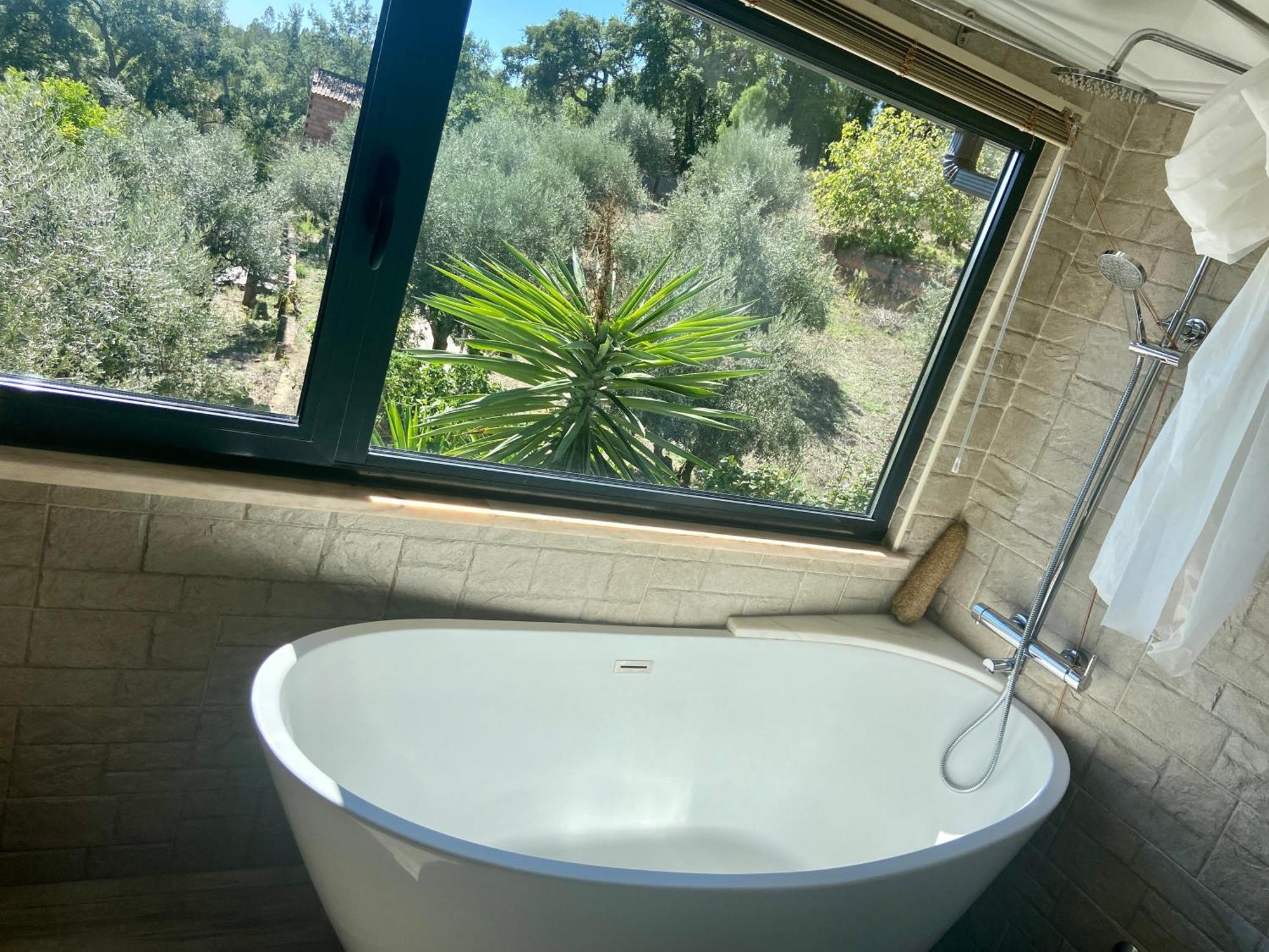 Single Room Bath,1546615582:JPEG