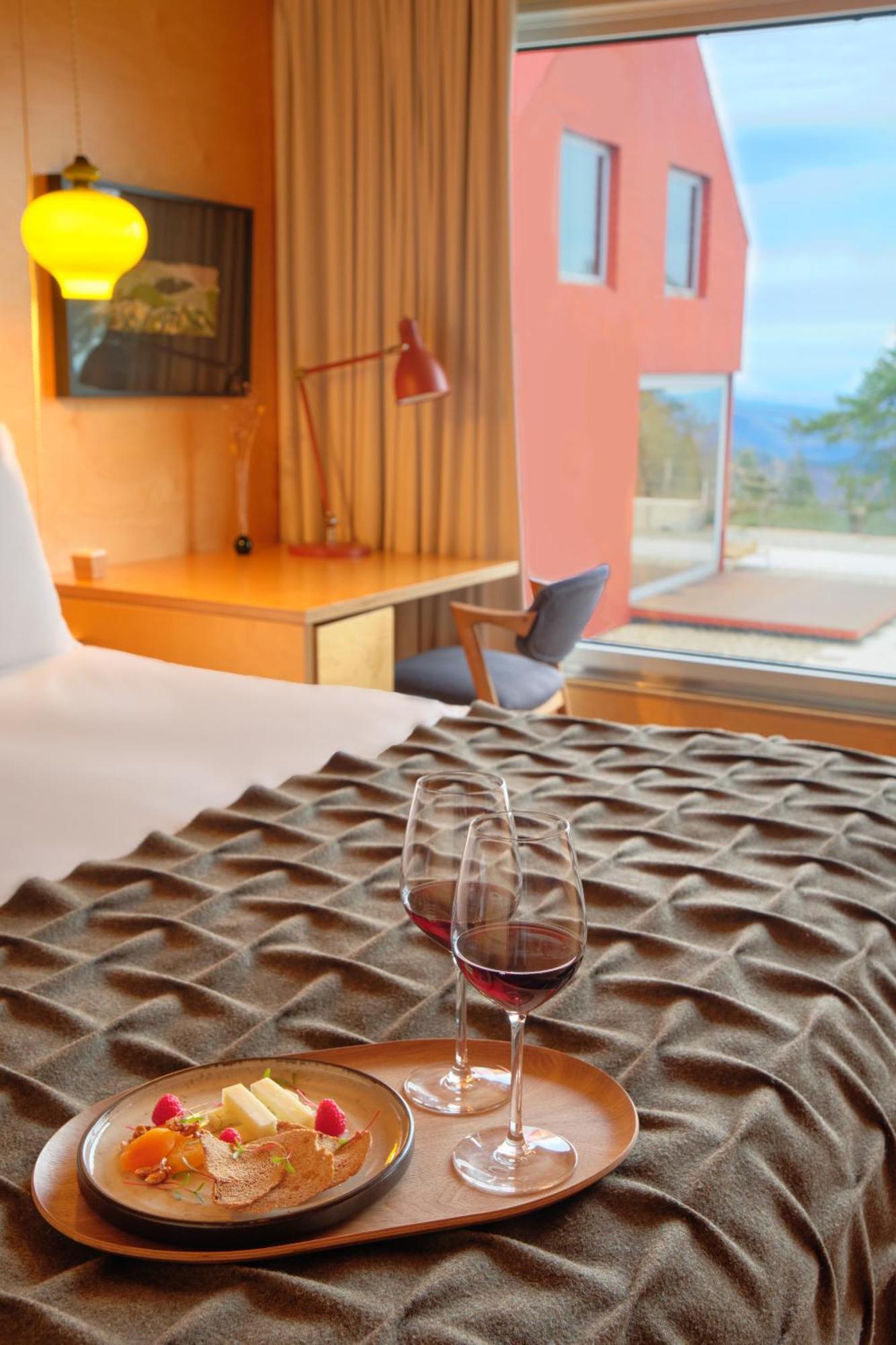 Comfort Double Room Mountain View