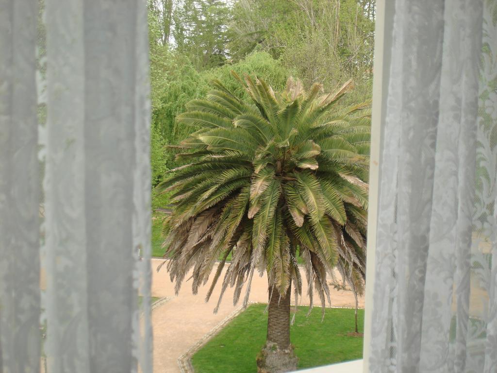 Double Room,202256470:JPEG