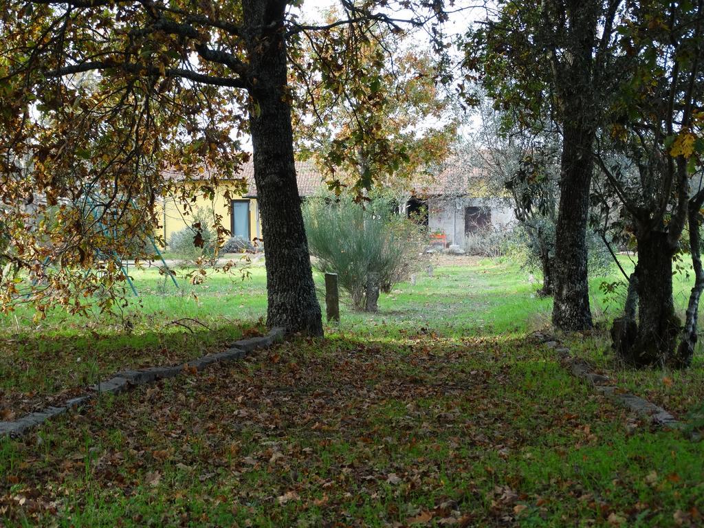 Casa Familiar de 1 Quarto