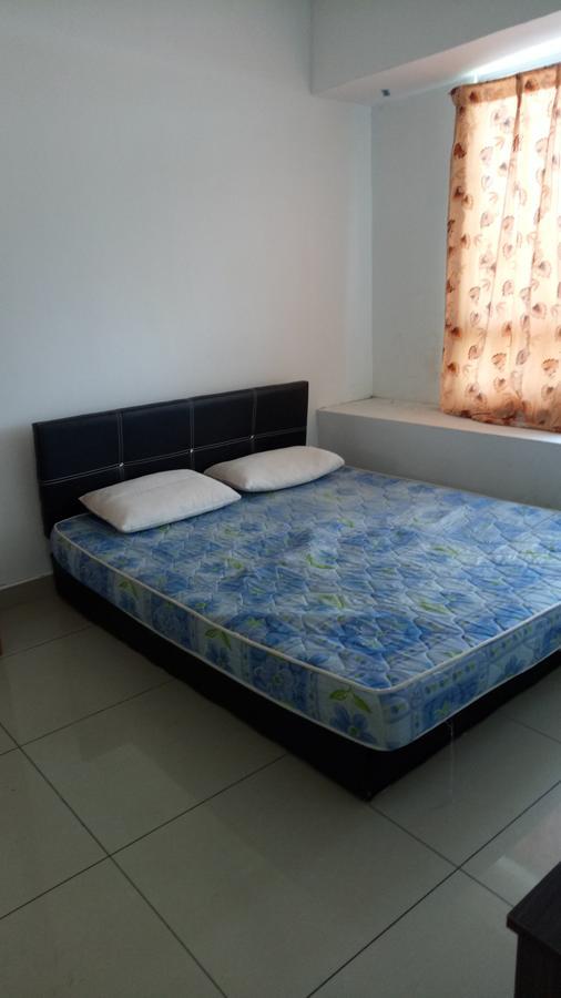 Bunk Bed Mixed Dormitory Room