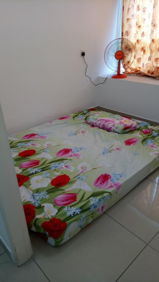 Bunk Bed Mixed Dormitory Room