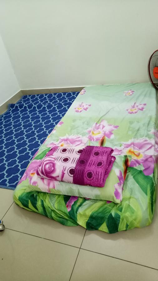 Bunk Bed Mixed Dormitory Room