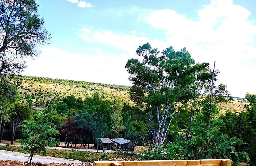 Herdade Clube Tiro Monfortinho-1