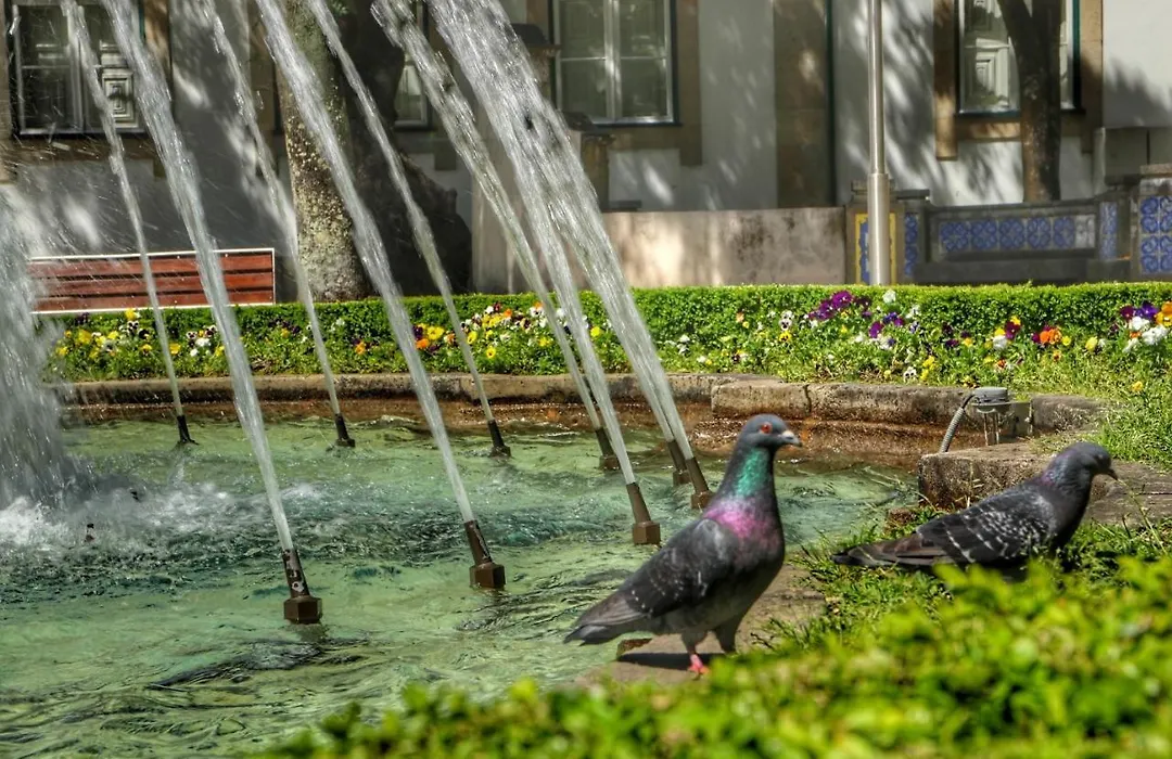Casa Da Avo Zirinha-1
