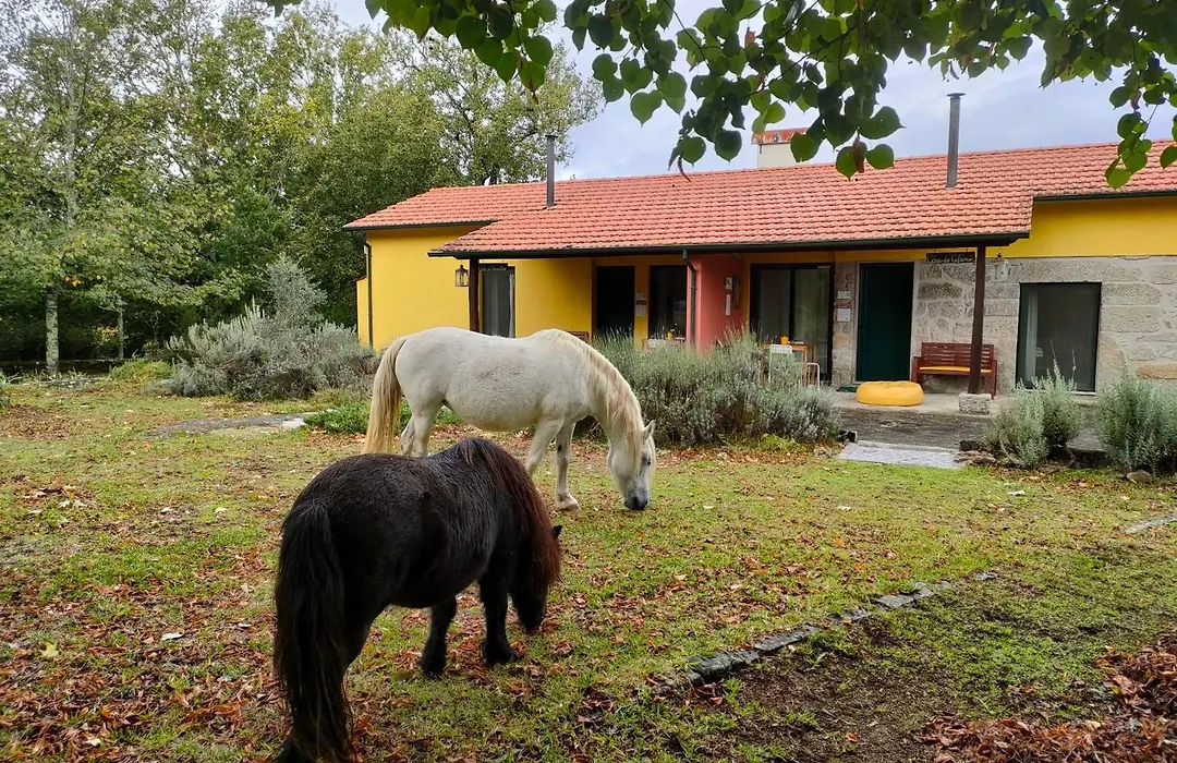 Casa Das Palmeiras-Pedagogic Farm-1