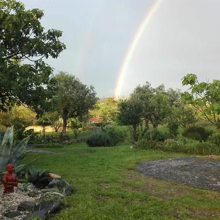 Quinta Sarnadela - Spacious 3 Bedroom House With In Beautiful Gardens-3