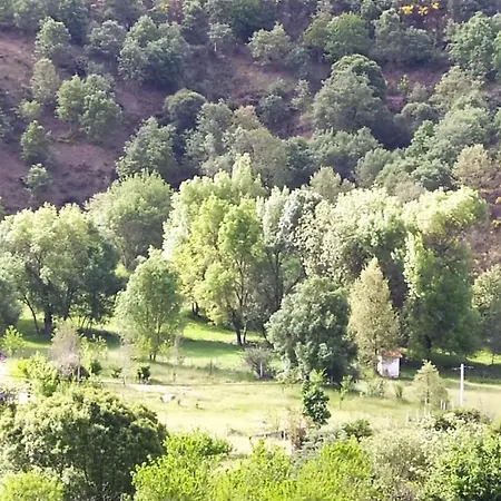 Turismo Rural Macieira Brava-3