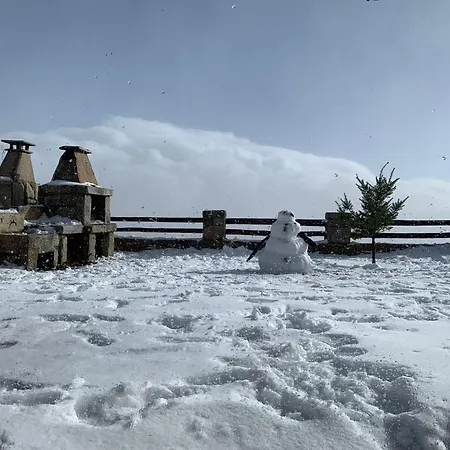 Mountain Chalet-3
