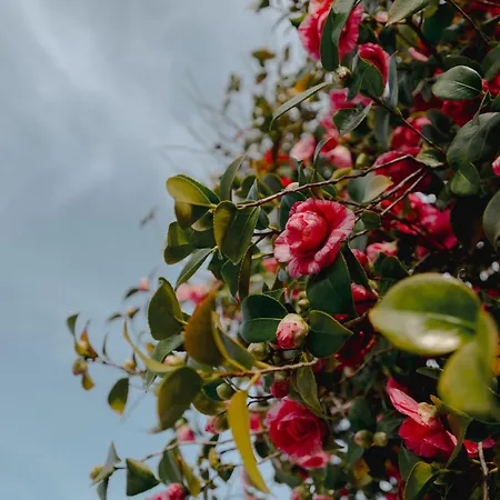 Convento Do Seixo Boutique Hotel & Spa-2