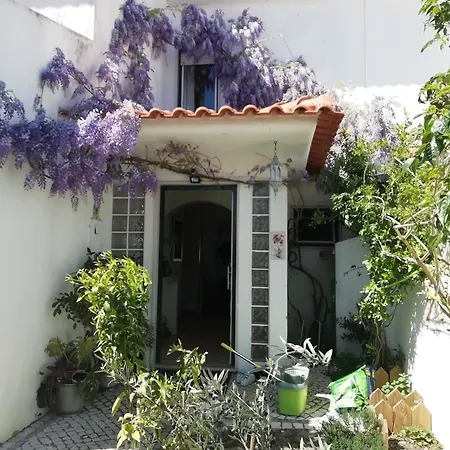 Silver Home-3