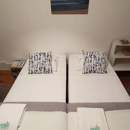 Espinho Guesthouse - Garden House-3