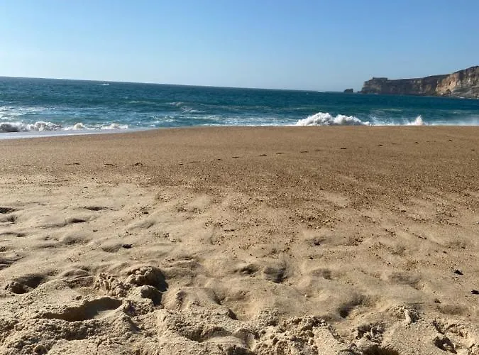 Vacation Apartment Rentals in Centro Region
