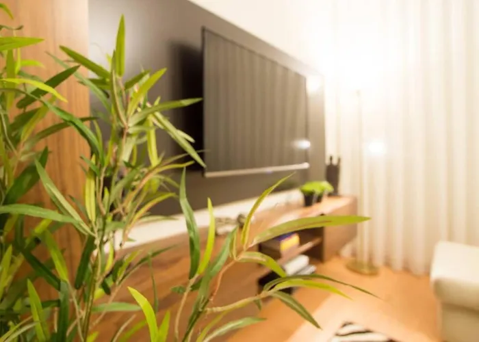 Huisdiervriedelijke Modern Apartment In Coimbra City Center