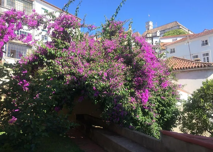 Pet friendly Sobre Ribas 2|12 Apartment Coimbra