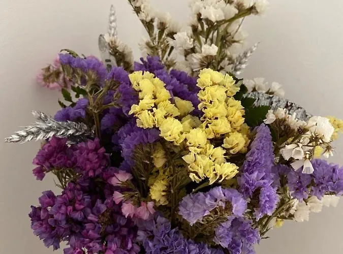 Haustierfreundliches Ferienwohnung Apartamento Nha Kaza Bo Kaza Peniche