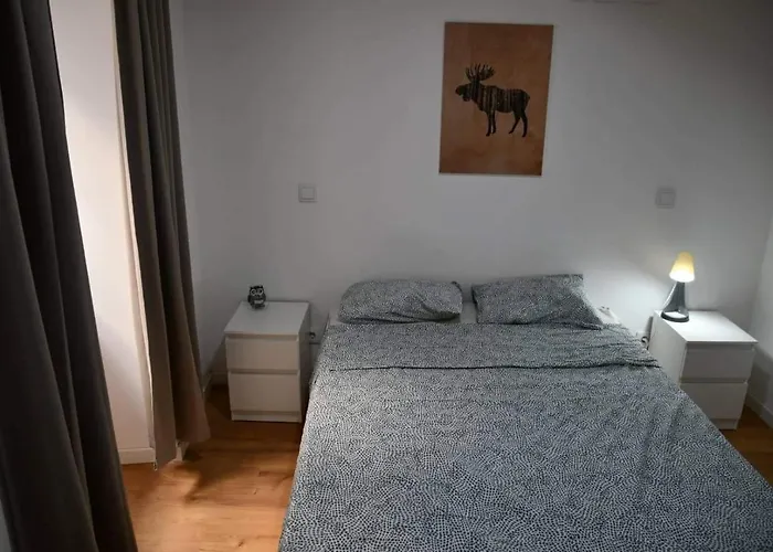 Huisdiervriedelijke Coimbra Downtown Studio