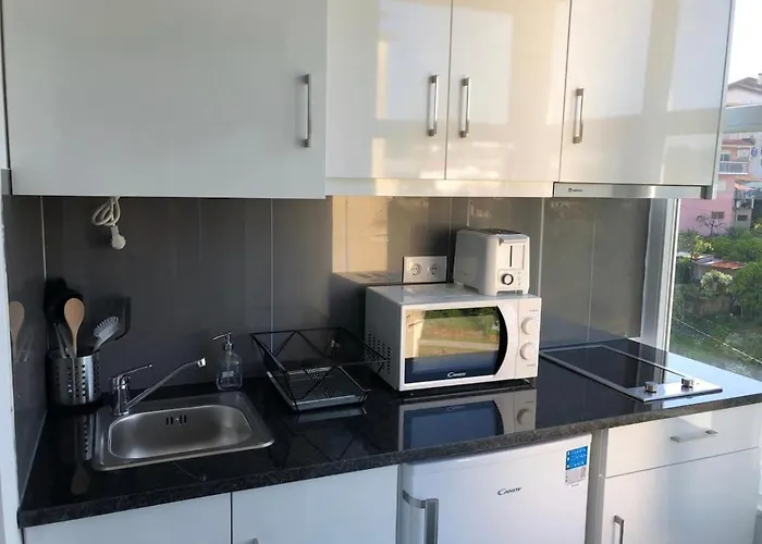 Huisdiervriedelijke Paraiso Da Conchada Coimbra