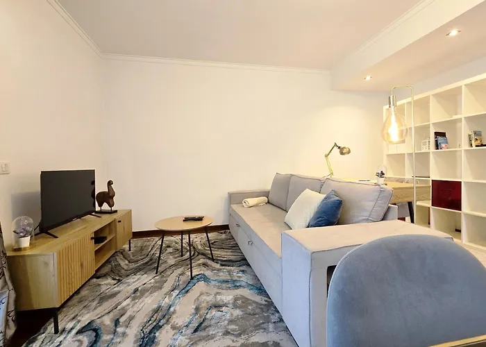 FeelCoimbra Apartment Mondego
