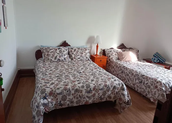 Haustierfreundliches Antonio Augusto Apartment Coimbra