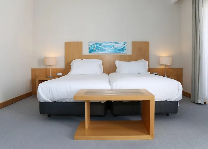 Nazare Dog Friendly Hotels