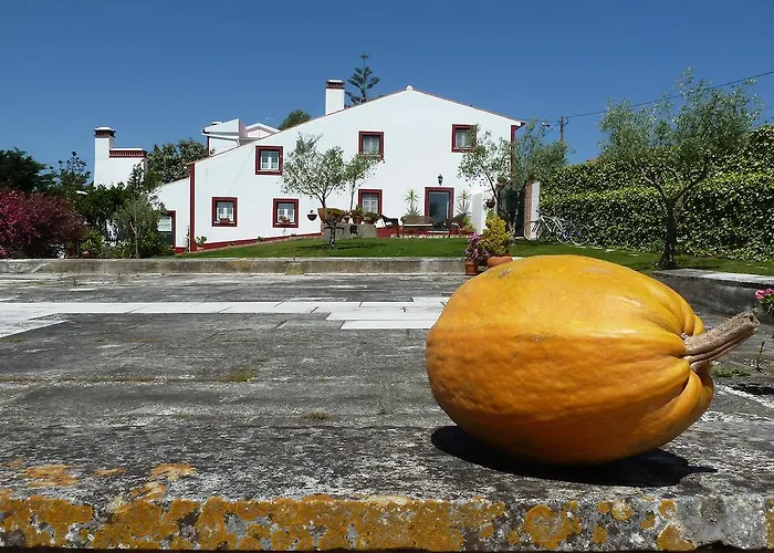 Casas Dos Infantes - Turismo Rural Caldas Da Rainha admite animales