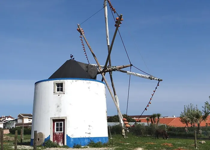 Haustierfreundliches Ferienwohnung Casa Sao Joao Peniche
