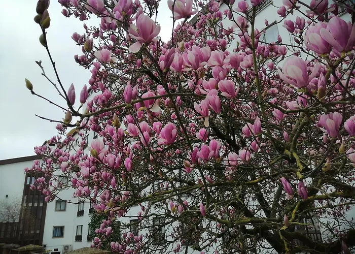 Hotel sulla spiaggia a Fatima